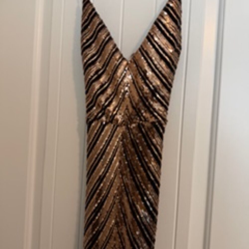 Windsor Jianna Formal Sleeveless Sequin Mermaid Dress